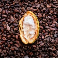 Chaga Boost