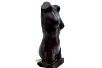 Palanda Especial Venus 2700g