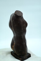 Palanda Especial Venus 2700g