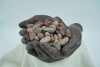 Palanda Especial Hand 700g