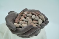 Palanda Especial Hand 700g