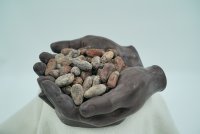 Palanda Especial Hand 700g
