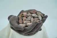 Palanda Especial Hand 700g