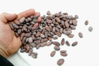 Arhuaco Teyruna Bohnen Roh 200g