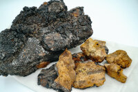 Chaga Boost Riegel 160g