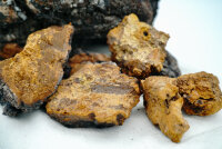 Chaga Boost Riegel 160g