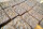 Chaga Boost Riegel 160g